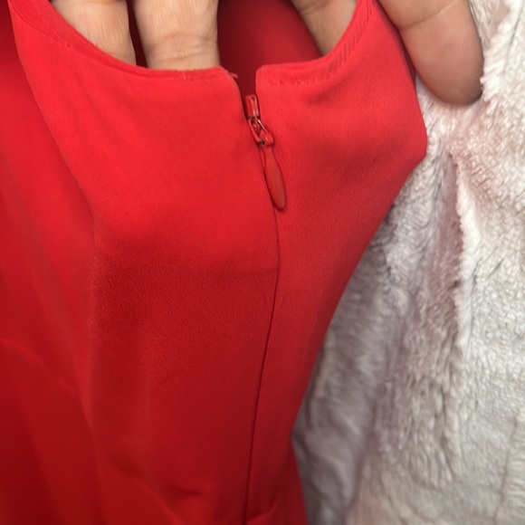 Express Mini Dress - Picture 4 of 4